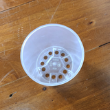 Clear Pot Mini 6cm