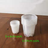 Clear Pot 9cm
