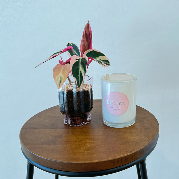Pink blossom gift pack