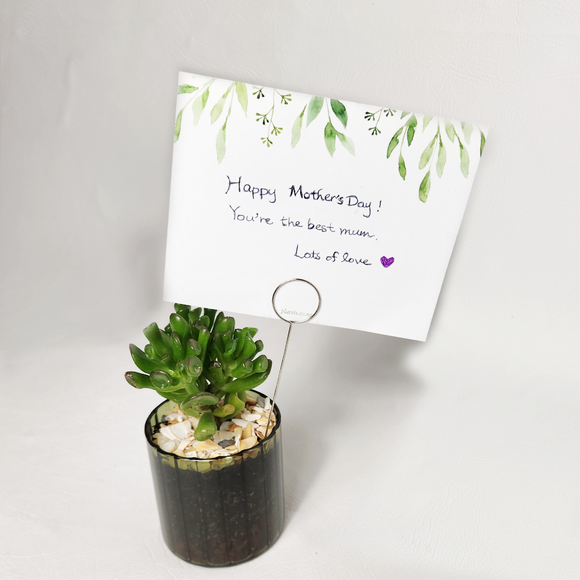 Message card with holder
