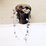 Succulent 10cm - Pots of Happiness collection