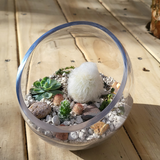 Cotton Candy Terrarium
