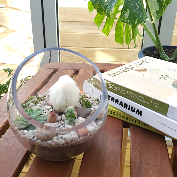 Cotton Candy Terrarium