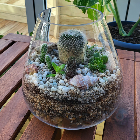 Succulent Terrarium